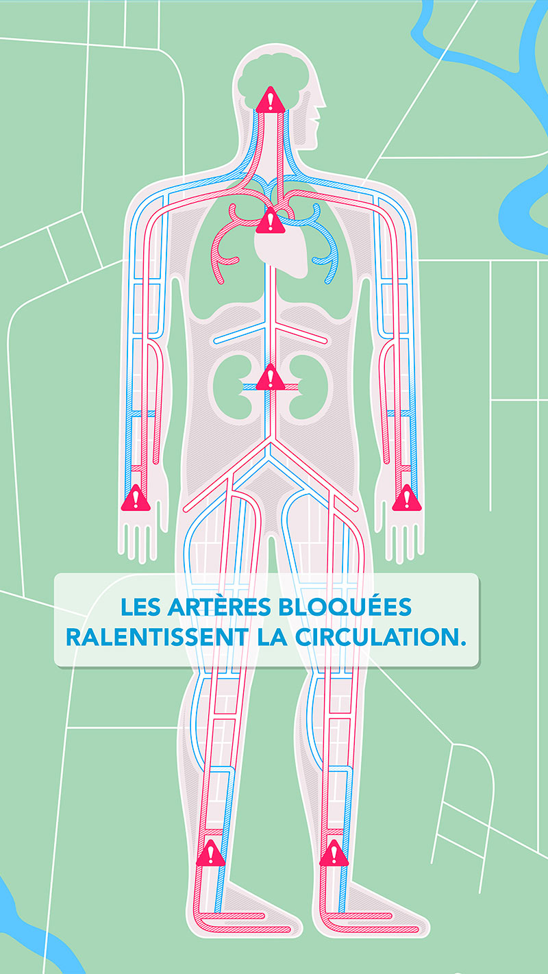 Votre santé vasculaire